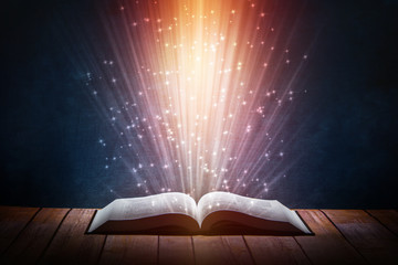 《红楼梦》人物描写是什么？