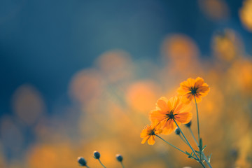 一道公务员行测言语理解题