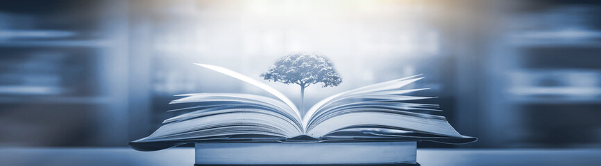 软文推广有哪些技巧？