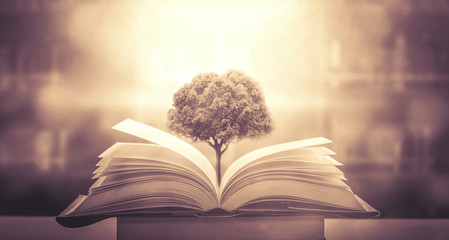 3-6岁儿童室内游戏