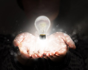 初一生物的知识点