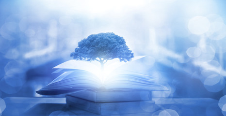 初一生物的知识点