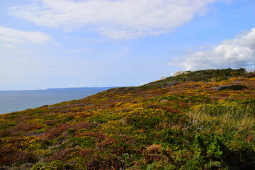 初一生物的知识点