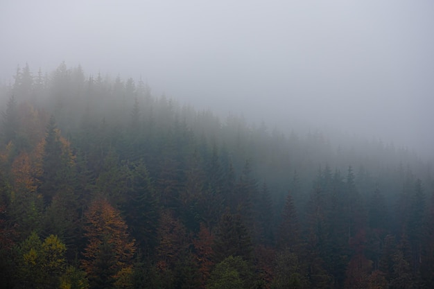 一道公务员行测言语理解题