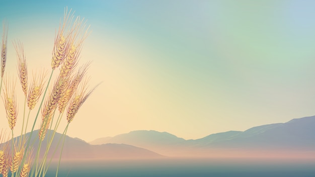 初一生物的知识点