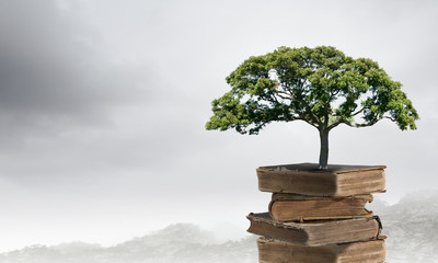 买华硕电脑要注意什么？