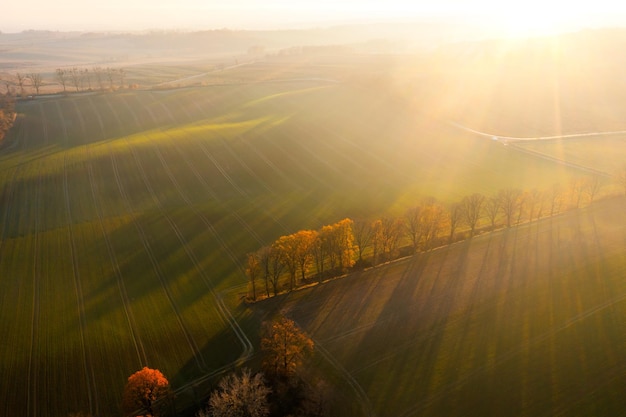 《红楼梦》人物描写是什么？