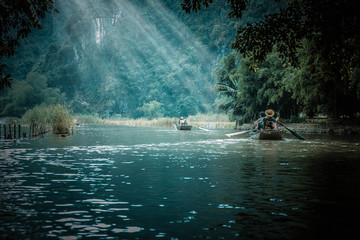 初一生物的知识点
